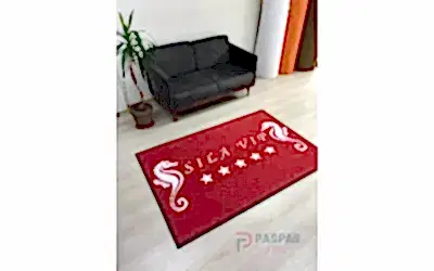 Logolu Paspas Nedir?